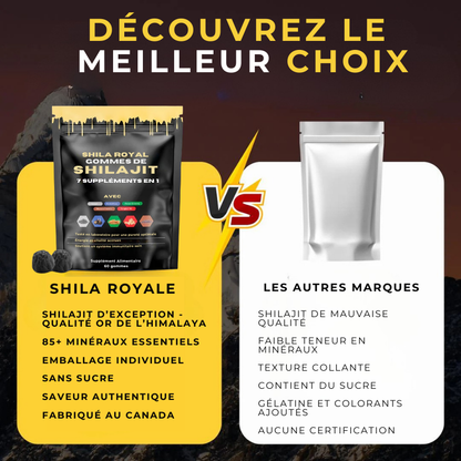 SHILA ROYAL - Bonbons de Shilajit