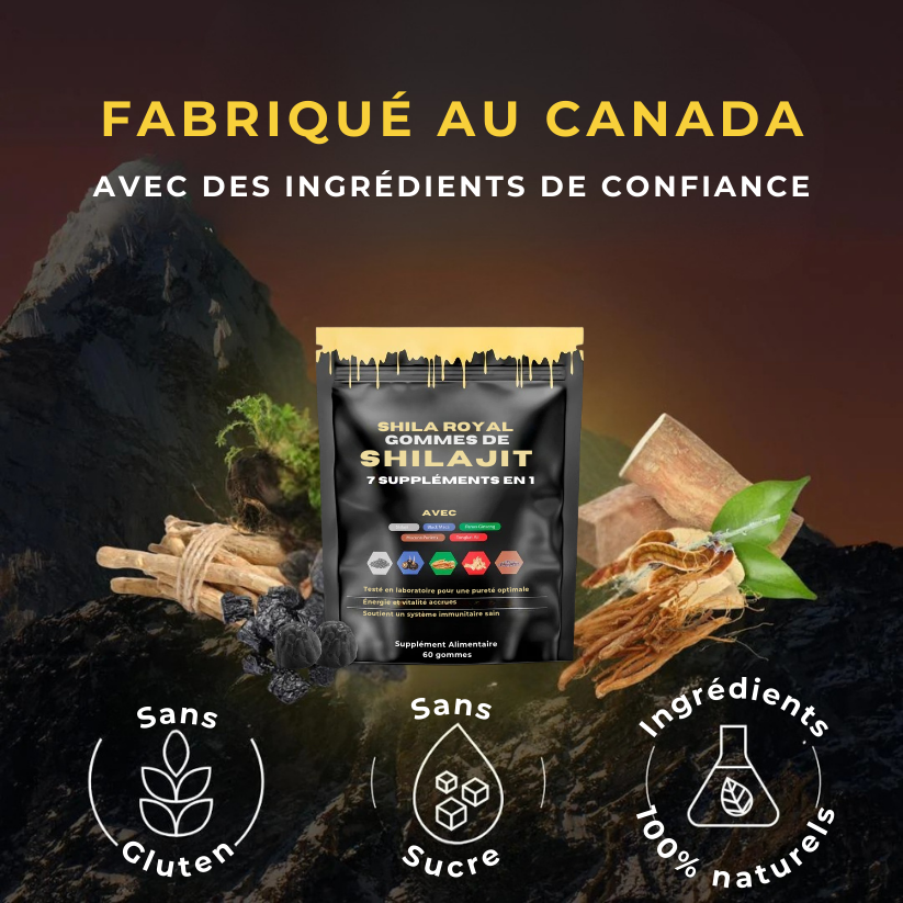 SHILA ROYAL - Bonbons de Shilajit